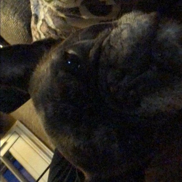 Meet your Posher, Stacy - Picture 1 of 1